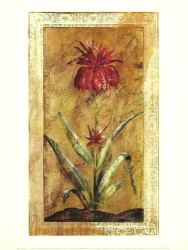 Prelude by Liz Jardine