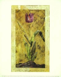 Andante by Liz Jardine