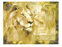 Lion by Annrika McCavitt