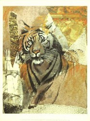 Jungle Song by Ann Dillard