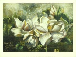 Dawning Magnolias by Meng