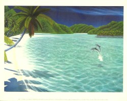 Trunk Bay by Dan Mackin