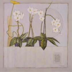 Delicatesse on a White Background by Andre Vigud