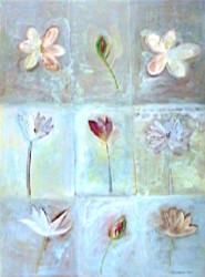 Lily Pond by Christopher Vine 