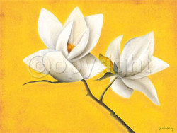 Magnolia's Symphony by Caroline Wenig