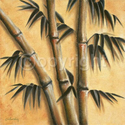 Bamboo Ecru by Caroline Wenig