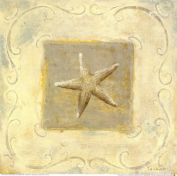 Seashell Collection I by Fabrice de Villeneuve