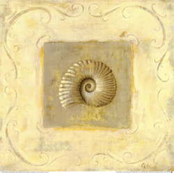 Seashell Collection III by Fabrice de Villeneuve