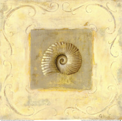 Seashell Collection III by Fabrice de Villeneuve