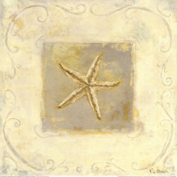 Seashell Collection IV by Fabrice de Villeneuve