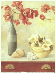 Shells & Orchids by Fabrice de Villeneuve