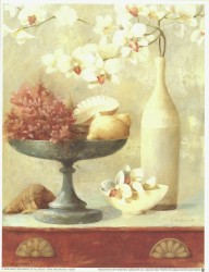 Coral & Orchids by Fabrice de Villeneuve