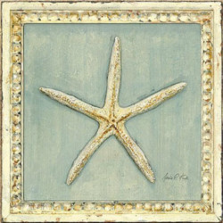 Classic Starfish Detail by Arnie Fisk