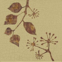 Etched Ivy