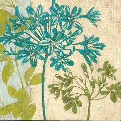 Modern Agapanthus by Stefania Ferri