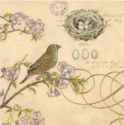 Nature's Observations 1