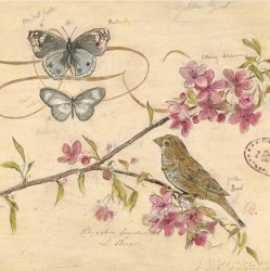 Nature's Observations 2