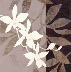 Inspired Theory Detail by Louise Lipman Collection