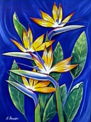 Birds of Paradise by Detlev Henrichs