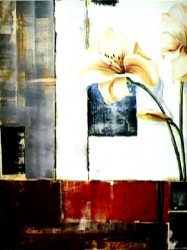 Lily Silueta by Alexa Keleman