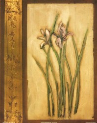 Iris & Foil by Janice Mitchell