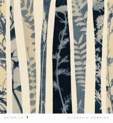 Botanica I by Elizabeth Downing