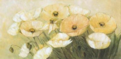 Tender Poppies by Elisabeth Krobs