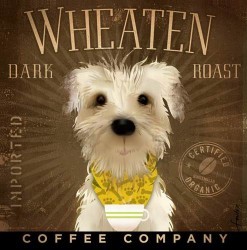 Wheaten Dark Roast by Stephen Fowler