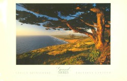 Point Reyes California by Gerald Brimacombe