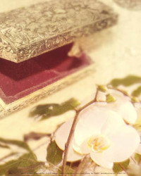 Vanity Series 3 by Graham Chappelle