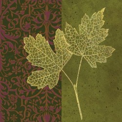 Maple by Paula Scaletta