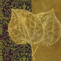 Linden by Paula Scaletta