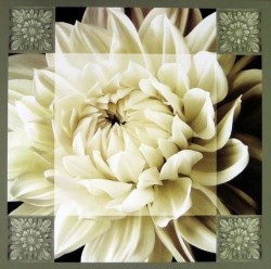 Dahlia Icon I by Christine Elizabeth
