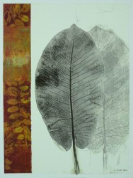 Leaf Study I by Kerry Vander Meer