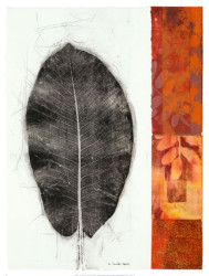 Leaf Study II by Kerry Vander Meer