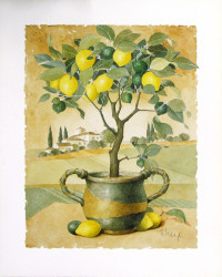 With Lemon - No Ice by Franz Heigl