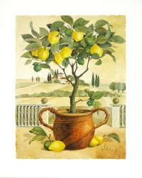 Evening Mood by Franz Heigl