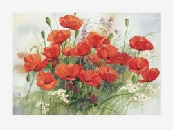 Sweetest Thing by Franz Heigl