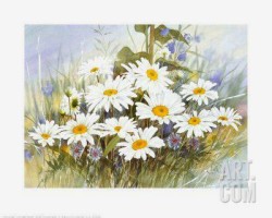 Tell Me More by Franz Heigl