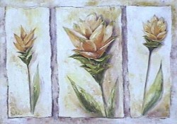 Curlma Cycas by Rian Withaar