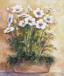 White Anemones by Rian Withaar