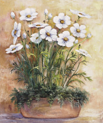 White Anemones by Rian Withaar
