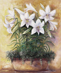 White Lillies by Rian Withaar
