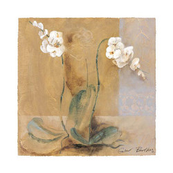 Orchid Variation I by Gabor Barthez