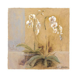 Orchid Variation II