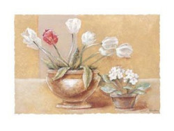 White & Red Tulips by Gabor Barthez