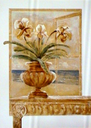 Looking out by Gabor Barthez