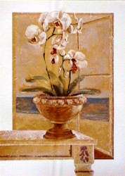 Far away by Gabor Barthez