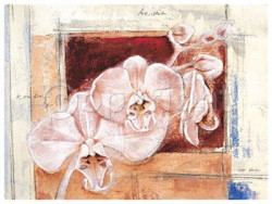 Sara's Home by Gabor Barthez