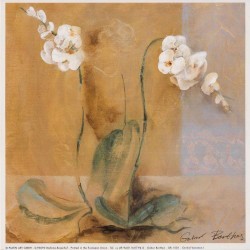 Orchid Variation I by Gabor Barthez